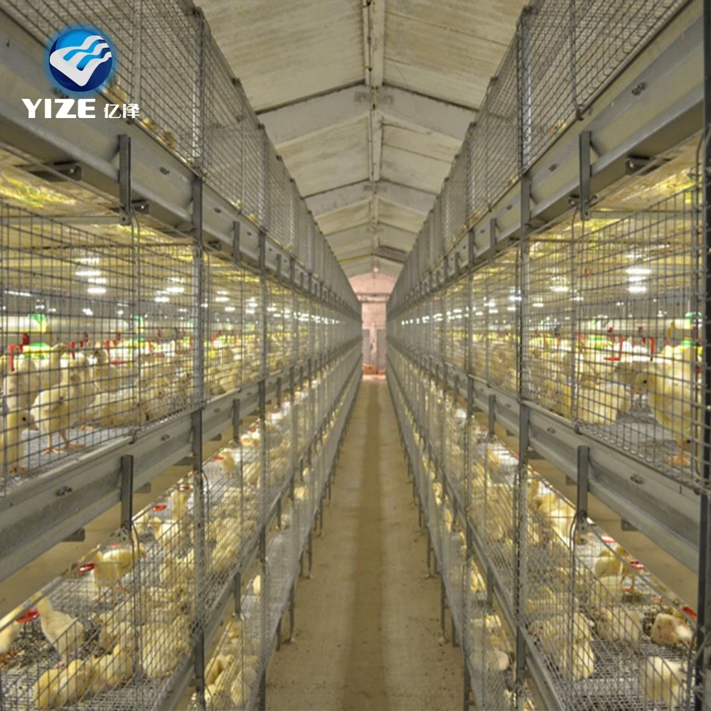 Automatische Bird Harvesting Ready Sale Gemacht Broiler Cage Chicken Cages Auf den Philippinen für die Geflügelbroiler Farm