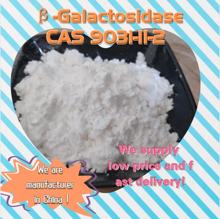 China Supplier Supply Beta-D-Lactosidase CAS 9031-11-2 Heavy Discount