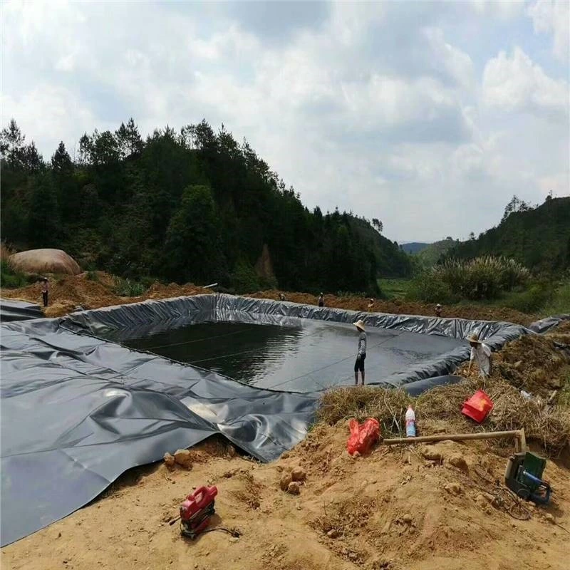 Цена на заводе с УФ защитой HDPE ПВХ EVA гидроизоляции Geomembrane