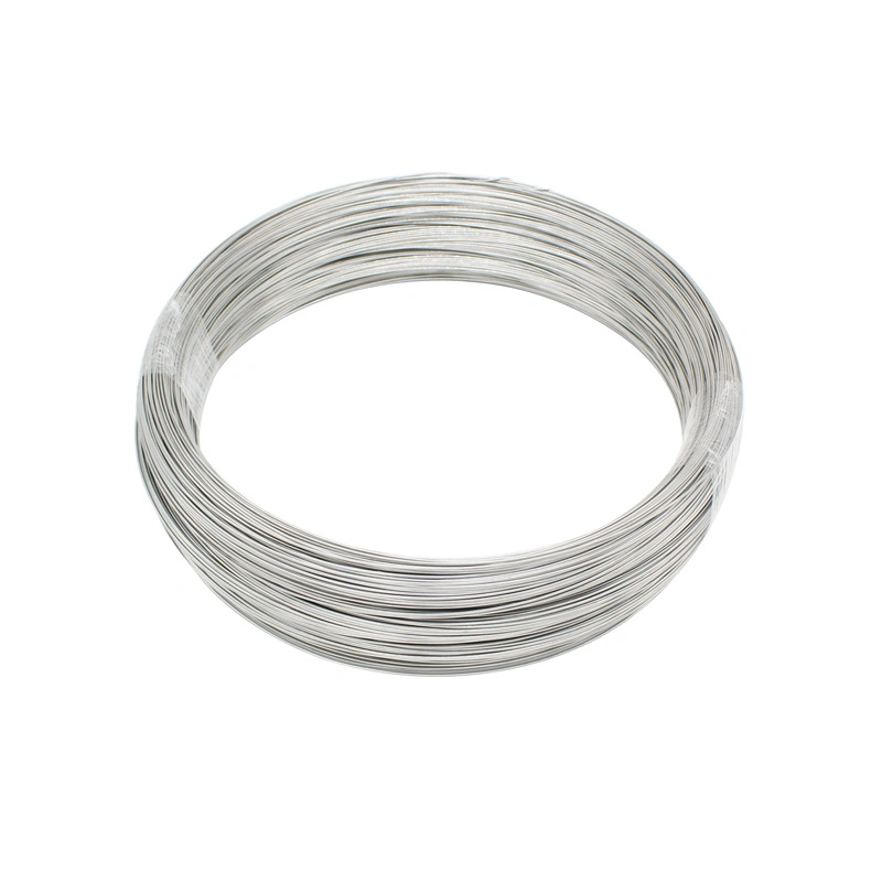 Factory Direct Sale 201 304 321 Microns Stainless Steel Fine Wire for Textile