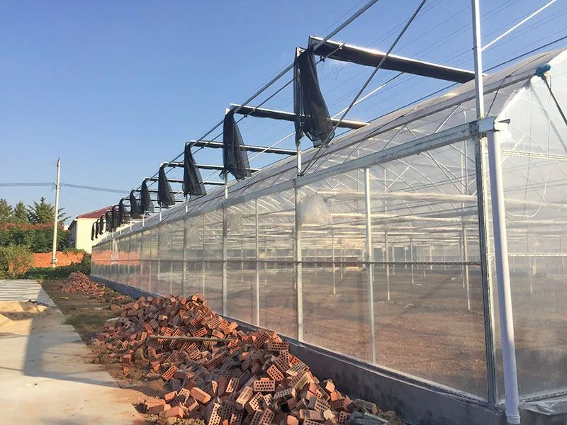 Túnel de crecimiento hidropónico de bajo coste plástico Multi Span Film Polyhouse Casa Verde