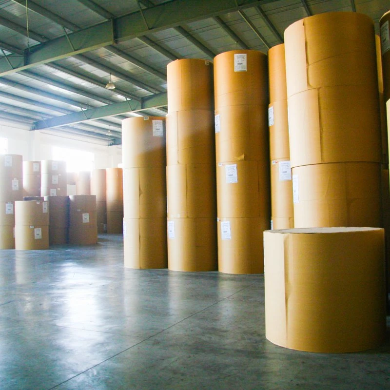 Los alimentos Garde recubierto de PE de Stock taza de hojas de papel Material en rollos//ventiladores