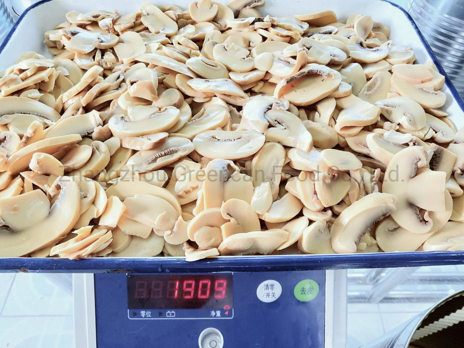 Canned Sliced Mushroom in 3 Kgs