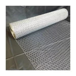 Sunshine Galvanized Hexagonal Wire Netting Chicken Wire Mesh 25mm Mesh Size Made in China for Bird for Chicken