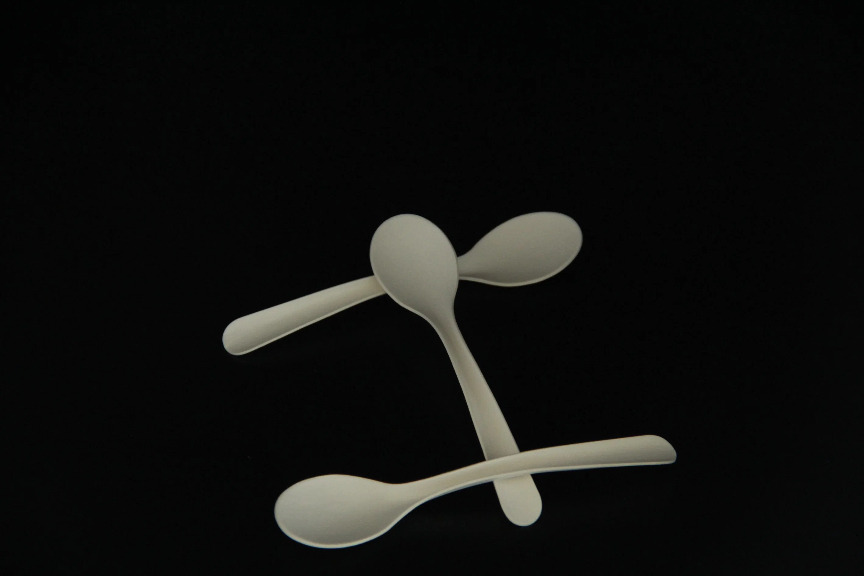 2023 Popular 100% Biodegradable Disposable Latest Product No-Plastic Compostable Cpla Spoon