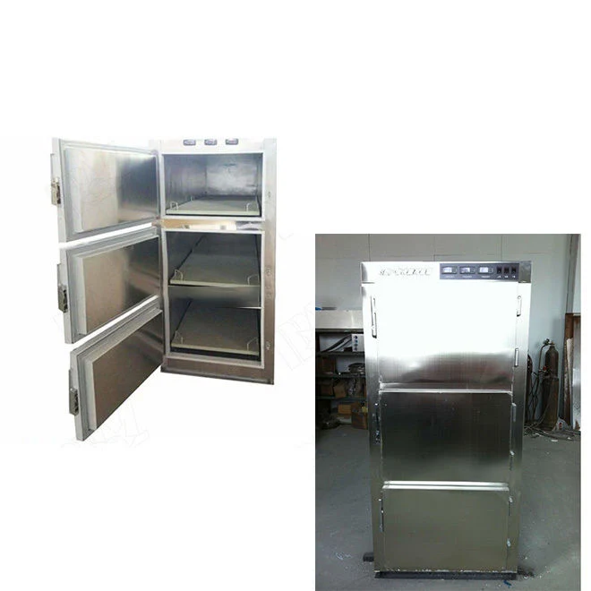 Medical 6-Body Mortuary Body Refrigerator, Medical Mortuary Freezer Price