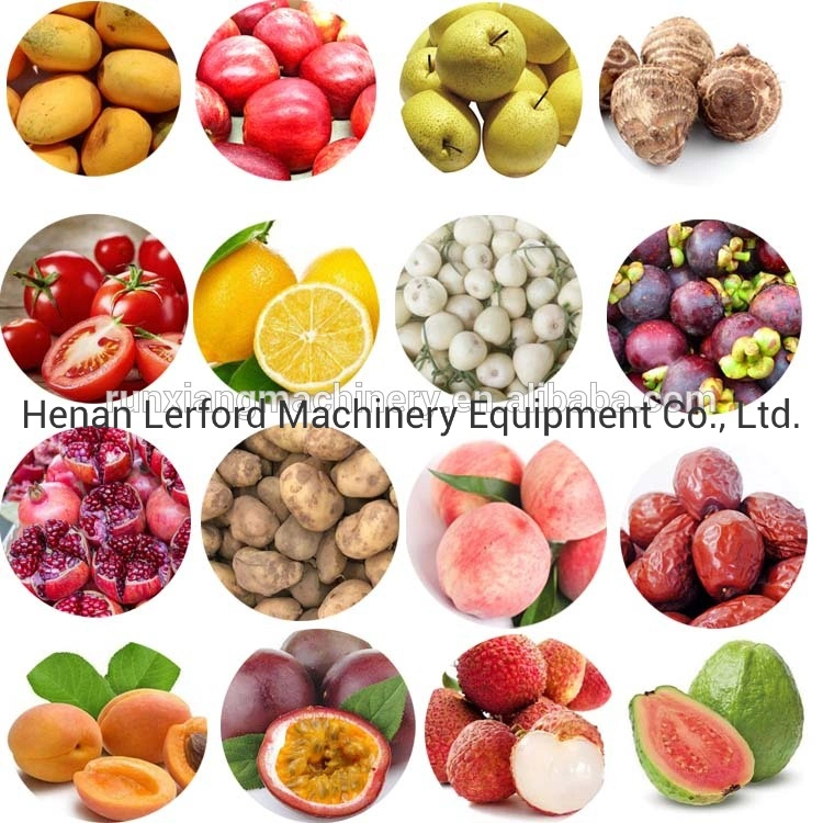 Industrial Fresh Vegetable Fruits Dry Dates Washing Cleaning Drying Processing Machinery