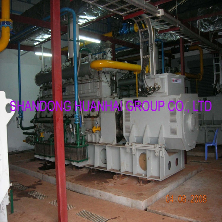 100kw 200kw 400kw 800kw 1MW 2MW Biogas Power Station