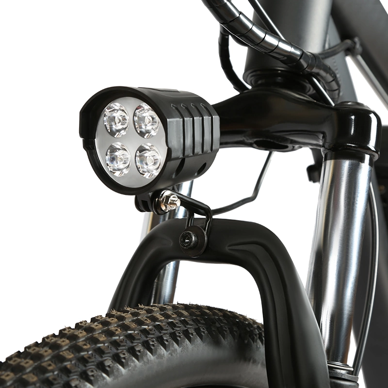 Preço de fábrica 26 pol., 36 V CC, 350 W, motor CC sem escovas Mountain Electric Bike