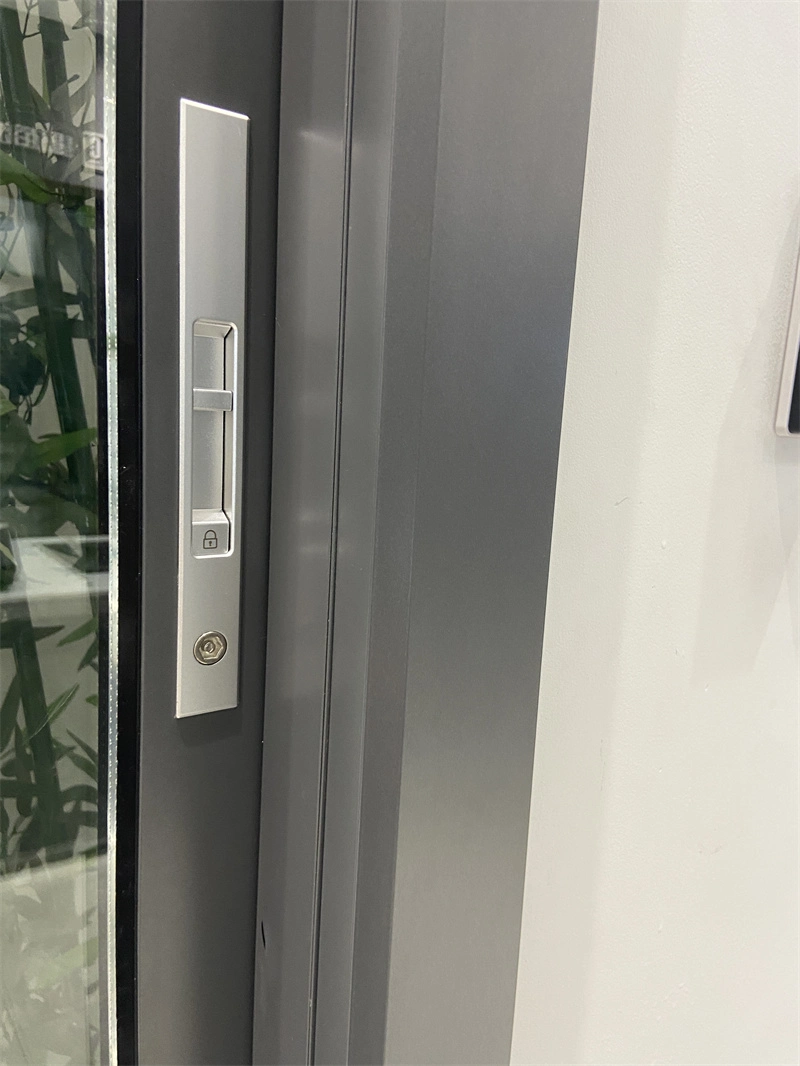 Hurricane Schlagfenster 1,4mm Dicke isoliert 304# Edelstahl Moskitonetz/Netz Low E Glas/gehärtetes Metall Rahmen Fly Screen Aluminium Sliding Angezeigt