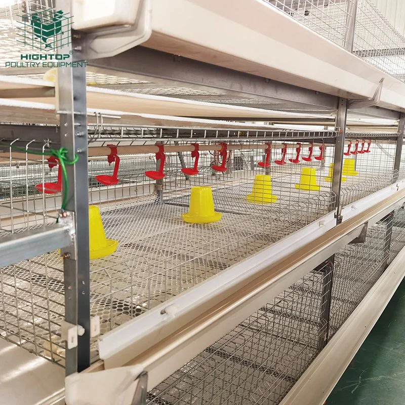 Broiler Farming Automatic Birds H Type Battery Chicken Cage System