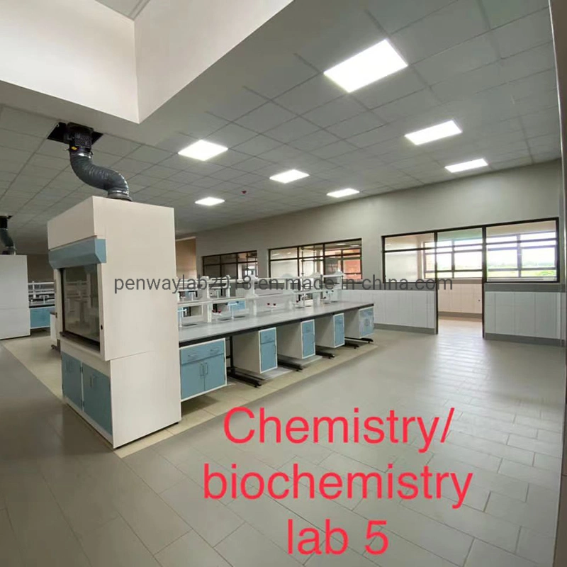 Full Painted Steel Mobile Laboratory Lab Room Furniture