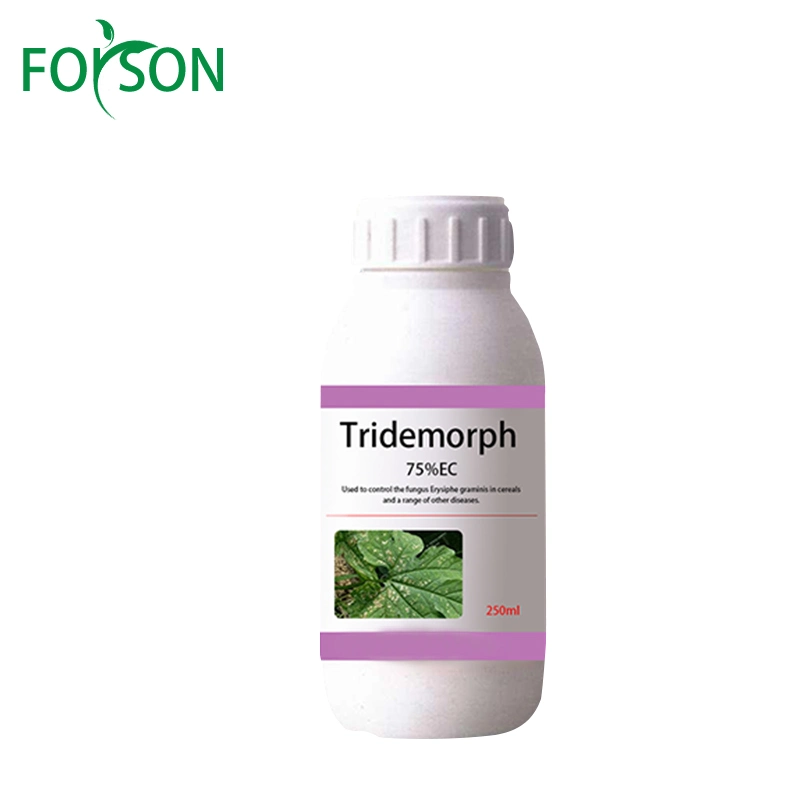 Wholesale/Supplier High Quanlity Fungicides Tridemorph 98% Tc for Factory Sale