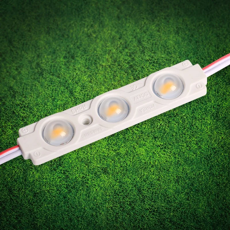 Waterproof LED Module SMD 3030 in White Super High Brightness