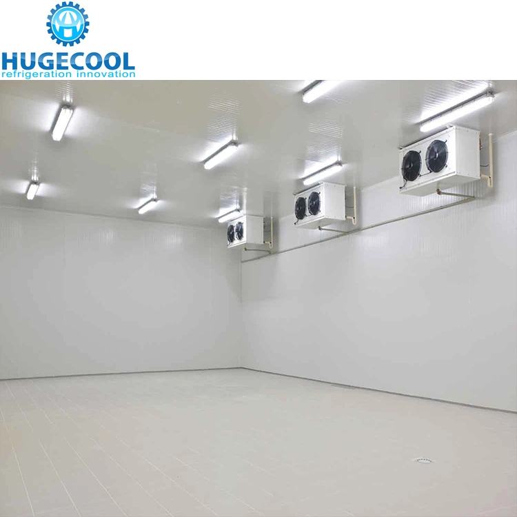 High Quality Medical Coldroom with 5 Years Warranty