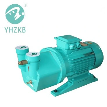 Yhzkb Shanghai Yulong Machine de Stérilisation / Pompe à Vide pour Autoclave