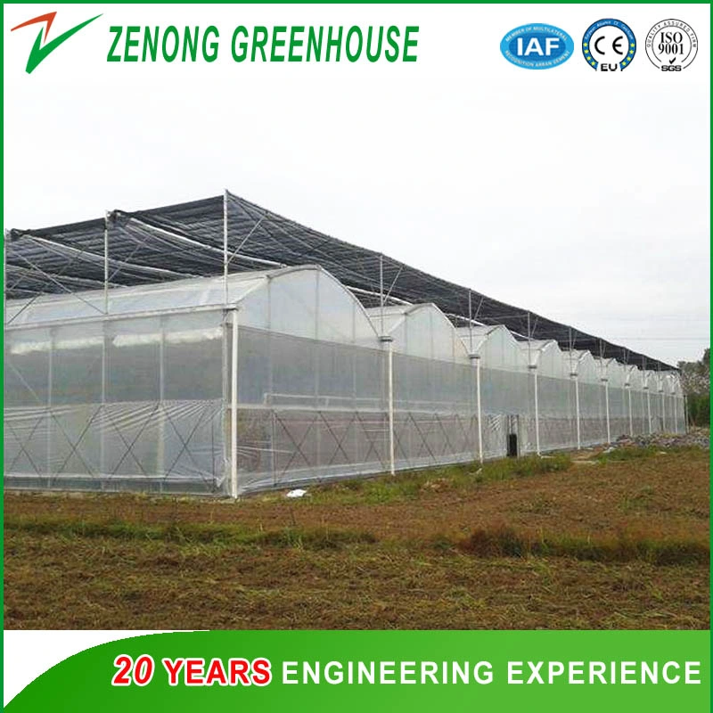 Agricultural Hydroponic Systems for Greenhouse for Exhibition/Seed-Breeding/Flower/Vegetable/Eco Restaurant