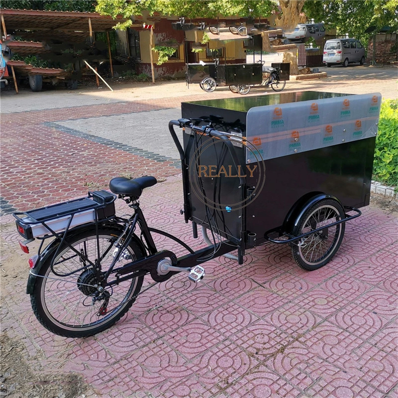 350W Electric Bicycle Pedal Spinning Bike Foldable Cabinet Food Vending Cart Electric Tricycle Cargo Bike