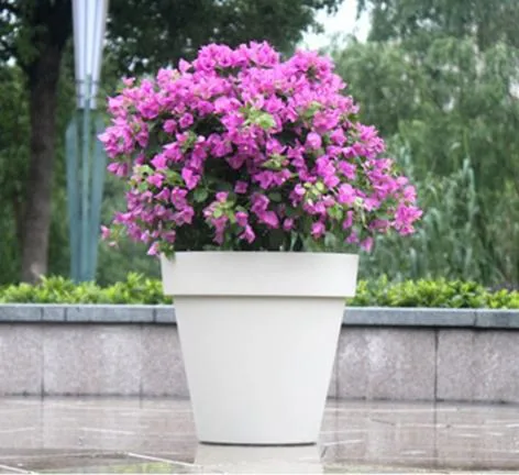 Home Decor Flower Pots for Indoor Plastic Planters