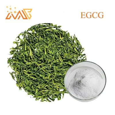 El 98% Natural EGCG /galato de epigalocatequina de extracto de té verde CAS 989-51-5