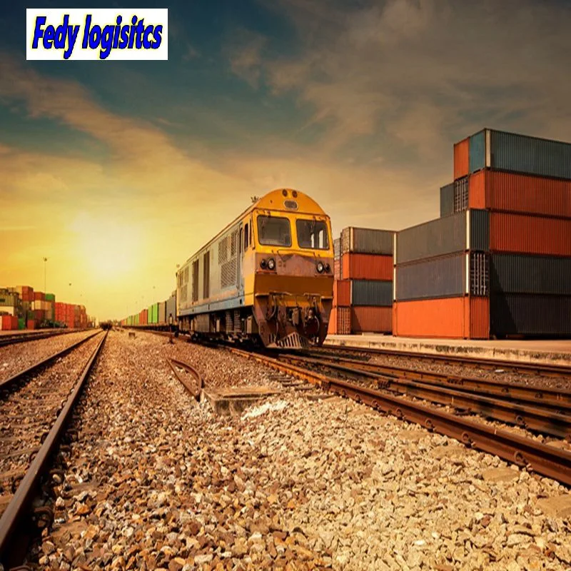 Raiyway Express, Warehousing, One-Piece Generation Delivery, Distribution and Transportation, Customs Clearance, Settlement From China to Europe /France