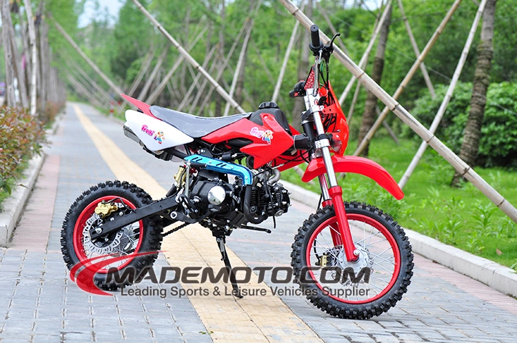 Wholesale/Supplier 49cc 110cc 125cc 150cc Mini Dirt Bike Cheap for Sale