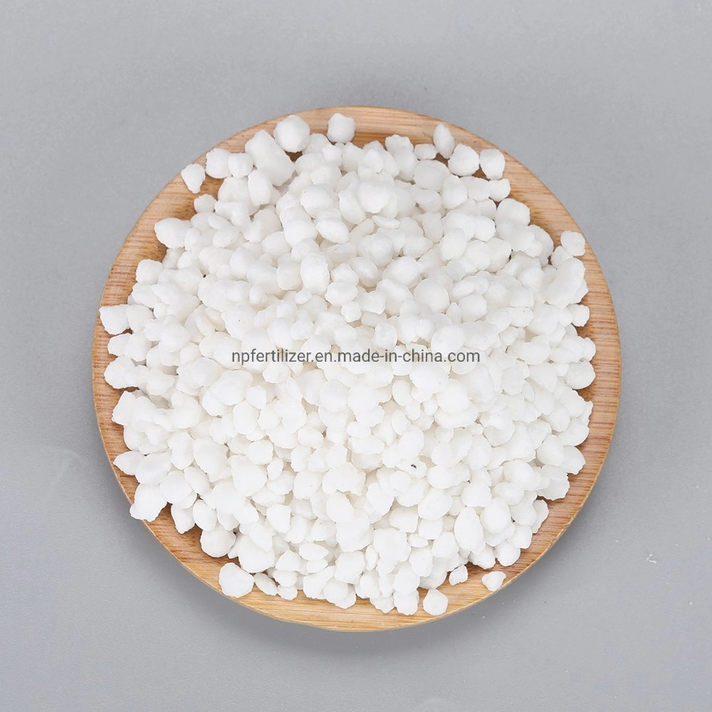 Ammonium Sulfate Fertilizer Prilled Nitrogen Fertilizer for Crops