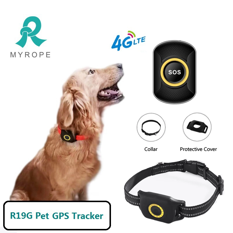 GPS Pare Perros Mini Wireless 4G LTE GPS GSM Tracker for Pet Dog Cat