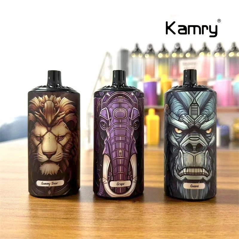 Kamry Boss New Arrival 10000puff Bar Disposable/Chargeable Vape Type C Charge Electronic Cigarette E Cigarette
