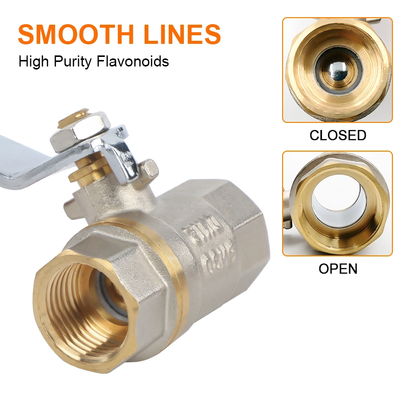 High-Density Lead-Free Forging 1/2" Bsp Level Handle Double Female Brass Ball Valve