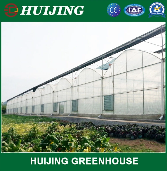 Agricultural Multi Span Po/PE Film Vegetable Greenhouse with Cooling System