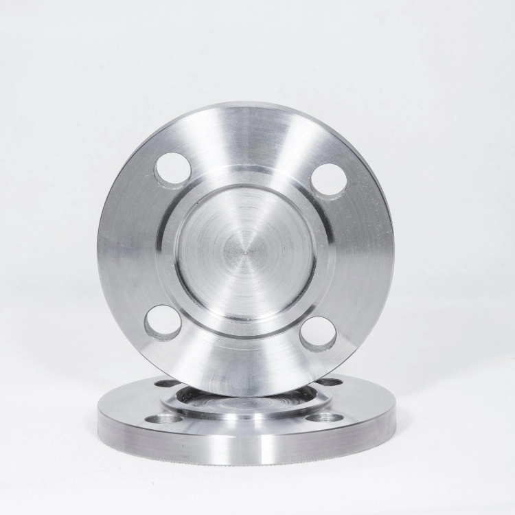 Custom Size Sanitary Stainless Steel 304 316L ASTM Forged Fitting Flanges