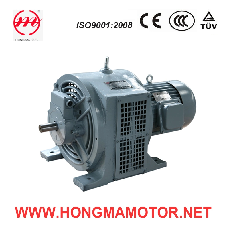 Electrical Adjustable-Speed Induction Motor