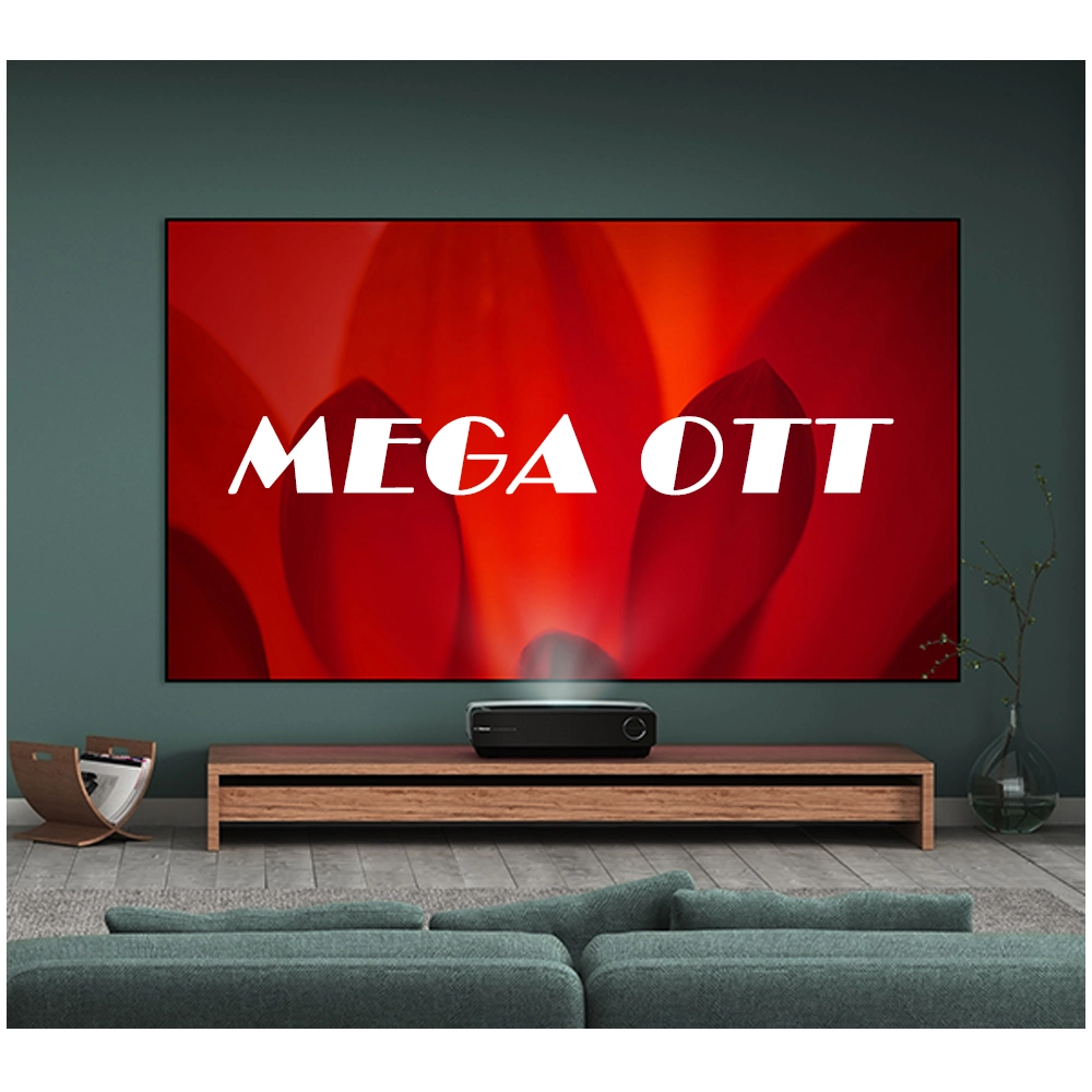 Cheapest IPTV IPTV Megaott Ott Francés Canadá Europa Marruecos Países Bajos Bélgica Alemania Suecia Turquía M3U TV inteligente Android PC TV Test Panel