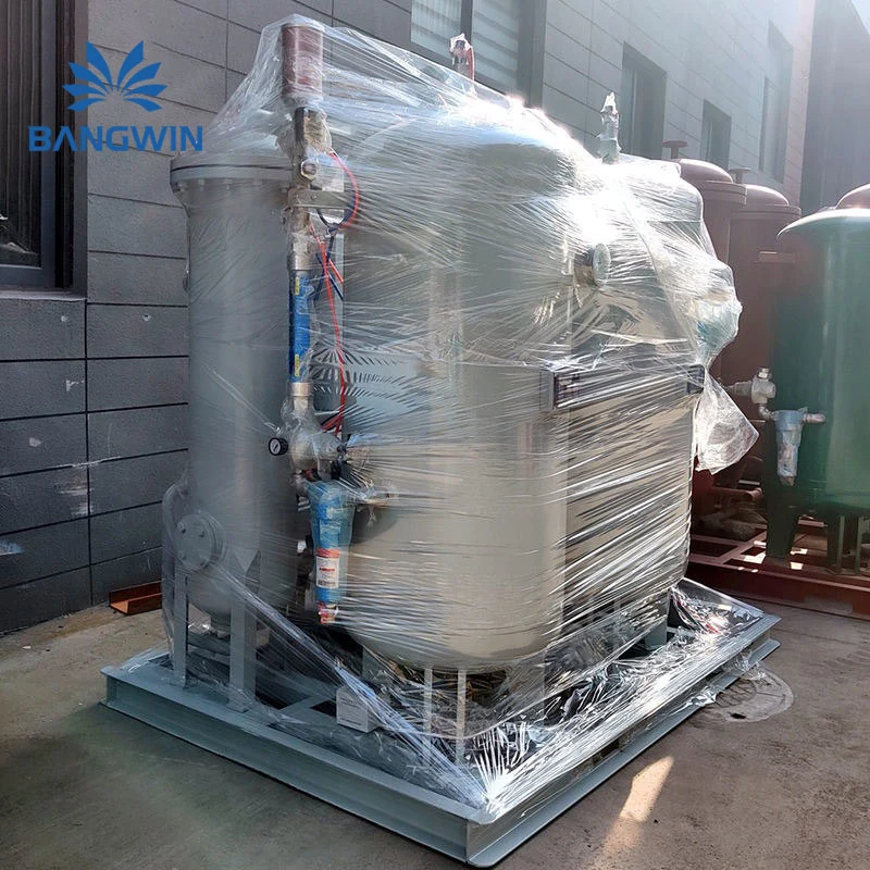 Bw Nitrogen Plant 3nm3/Hr Nitrogen Gas Generator for Food Preservation