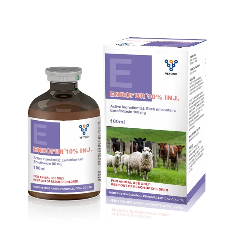 Medicina farmacéutica 10% Enrofloxacin solución inyectable medicamentos 100ml para Cow Ovejas