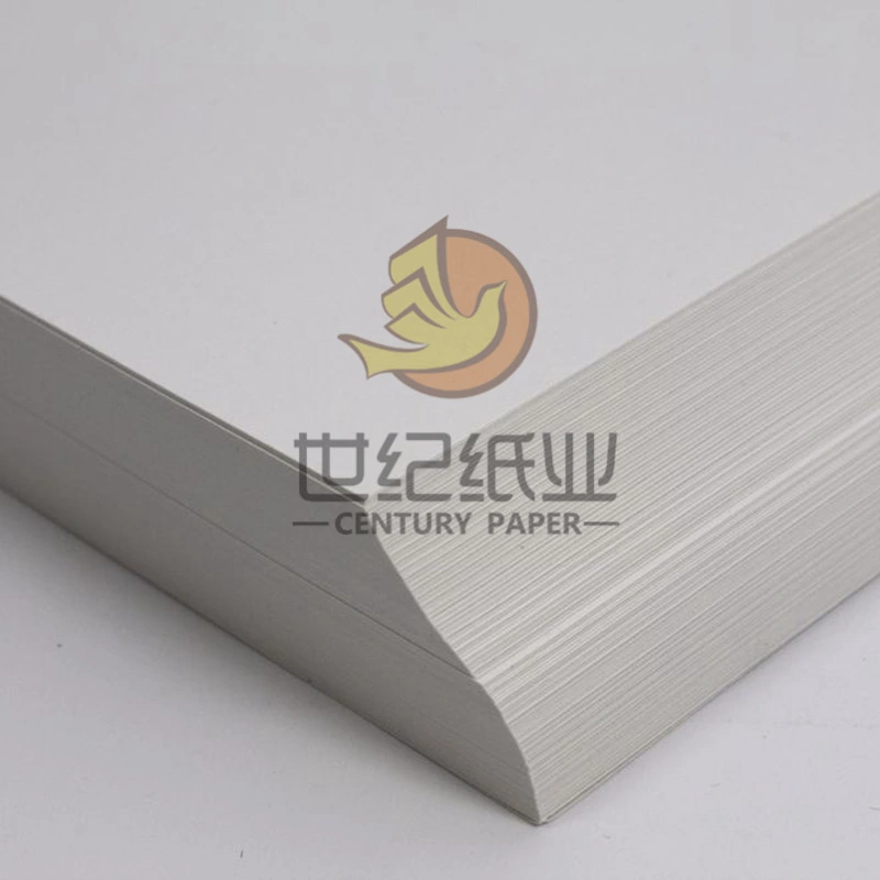 300GSM Ningbo Folding Box Board/C1s Fbb/Ivory Board