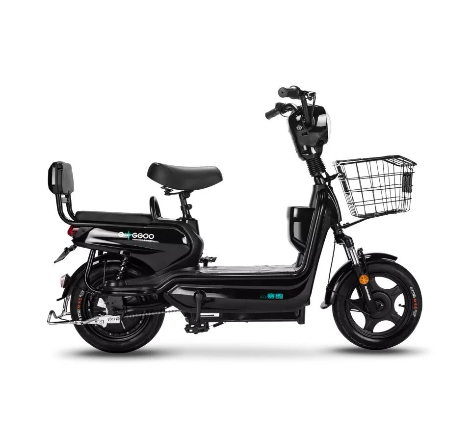 Saige Brand Yg Electric Bicycle with 25km/H Speed Electric Bike and Scooter for Dirt Roads