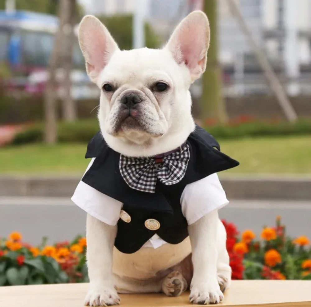 Hot Selling in Stock Summer Groom's Wedding Dress Pet Dog Clothes