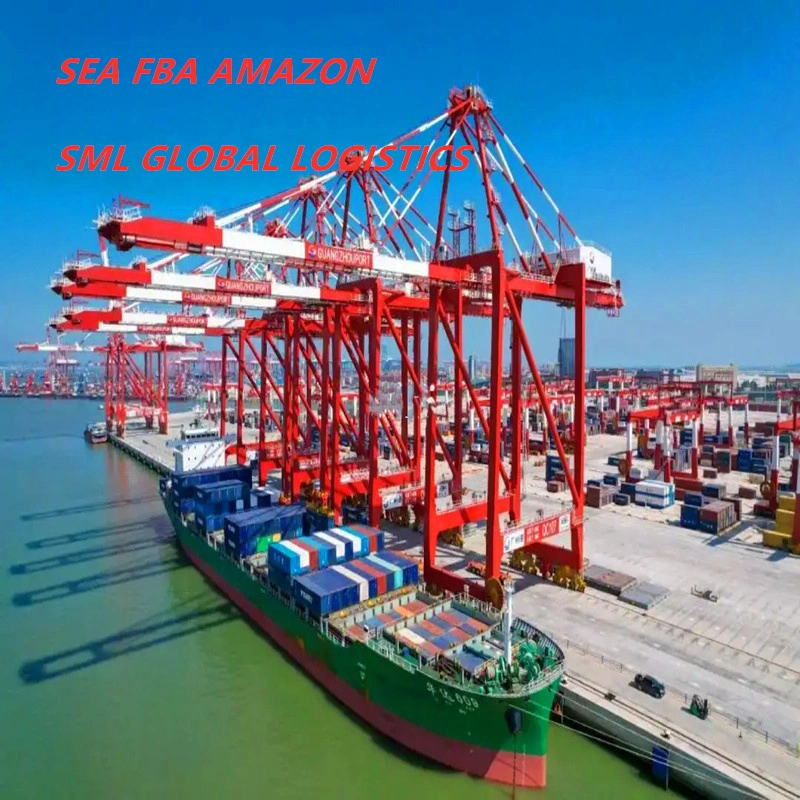 Sea Shipping Air Cargo Freight Forwarder to Turkey/Spain/Germany Agents Service Logistics Freight