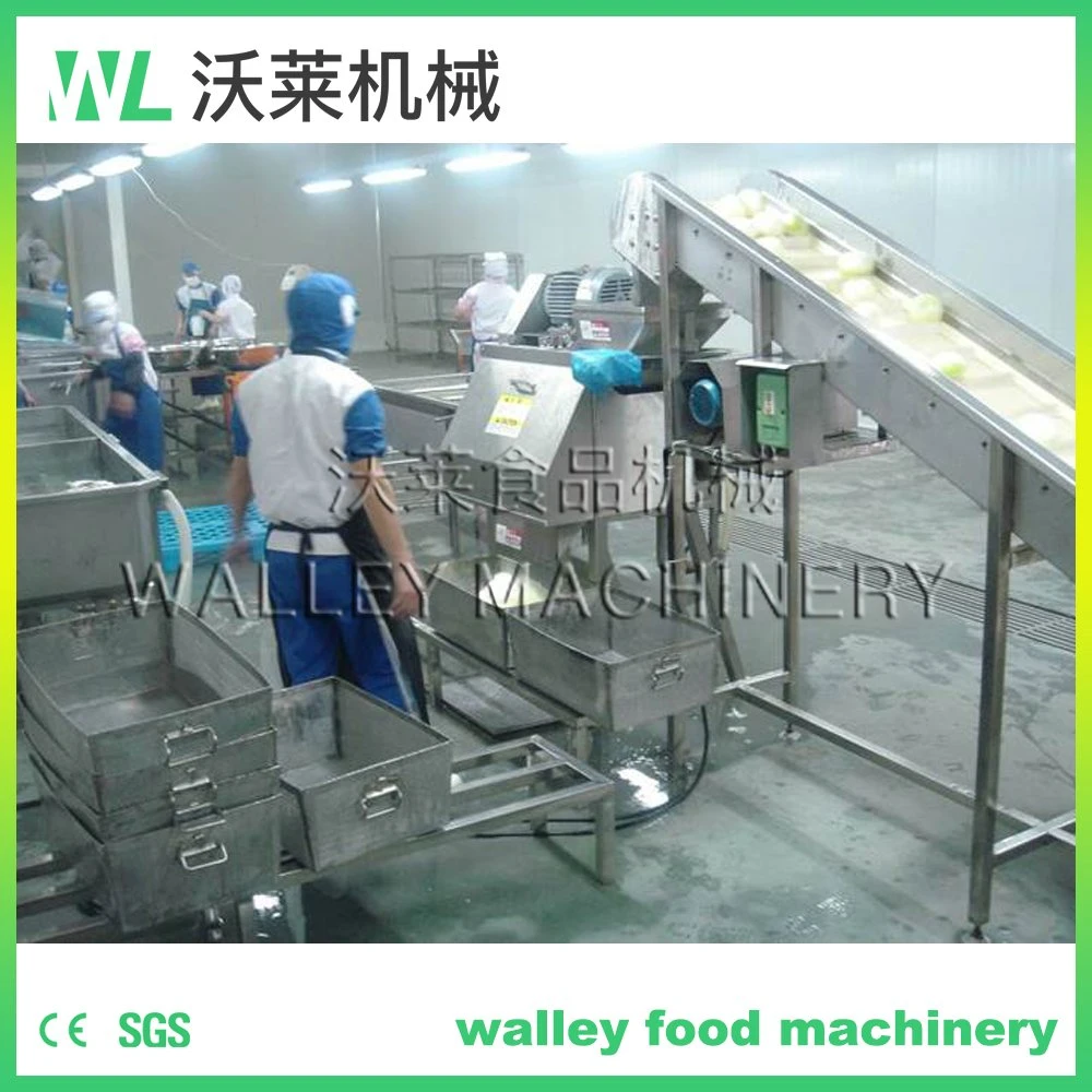 Factory Price Stainless Steel Made Cutting Vegetable Fruit 350 Cutter