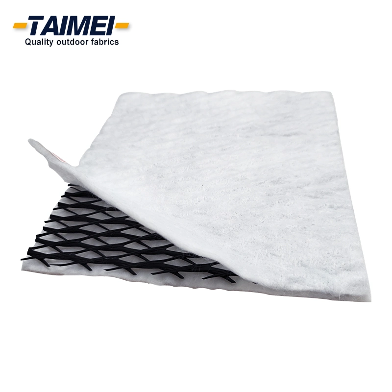 Reinforced Plastic Geocomposite Drainage Mat Geocomposite Geomembrane Geocomposite for Erosion Control Slope Protection