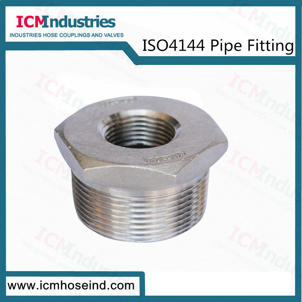 Stainless Steel 45 Degree Elbow Threaded Fittings/ISO 4144 Pipe Fitting