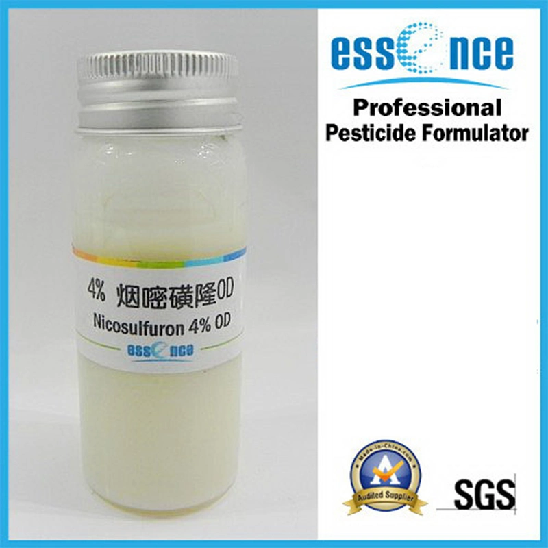 Herbicide Nicosulfuron 40g/L SC, 75%WDG/WG