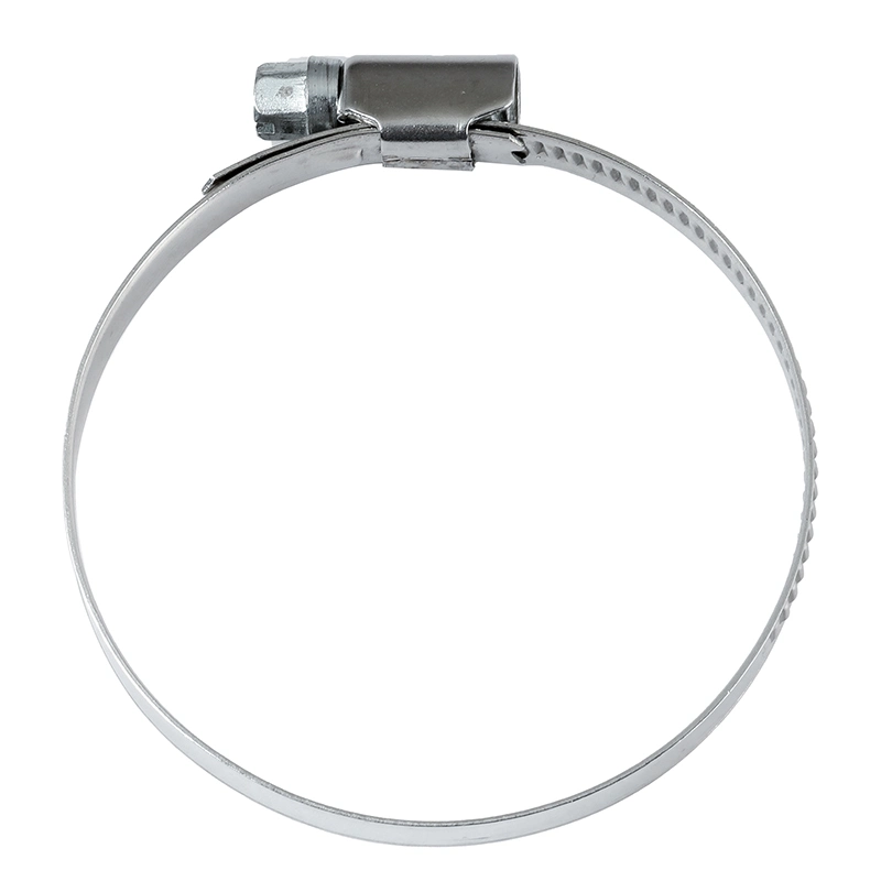 Competitive China Supplier of Stainless Steel German Type Worm Drive Hose Clamp Flexible Metal Hoses
