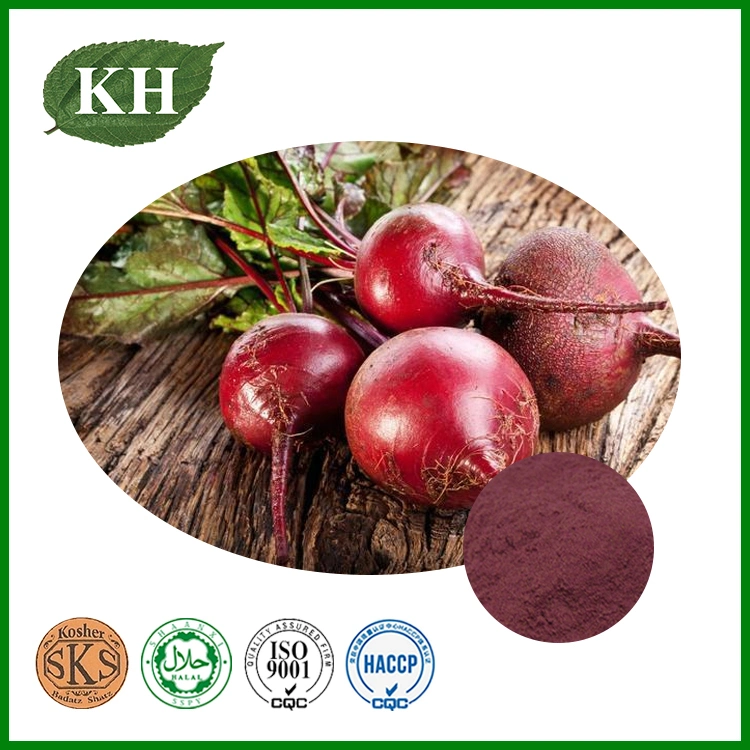 Beet Root Extract 1%-25% Betanin