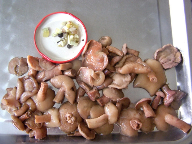 Canned Suillus Mushroom Selling for Catering and Supermarket