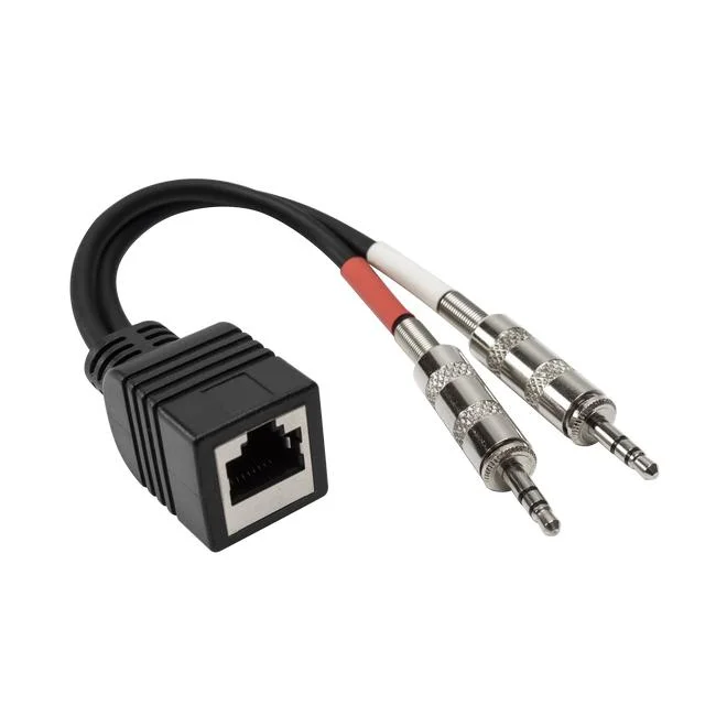 Kundenspezifischer Fabrikpreis Aluminium montiert Dual 3,5mm TRS Stereo Male Zu Ethernet RJ45-Audiokabel für Aaxia Equipmnet