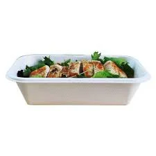 Food Packaging Compostable Take Away Sugar Cane Bagasse Pulp Food Container