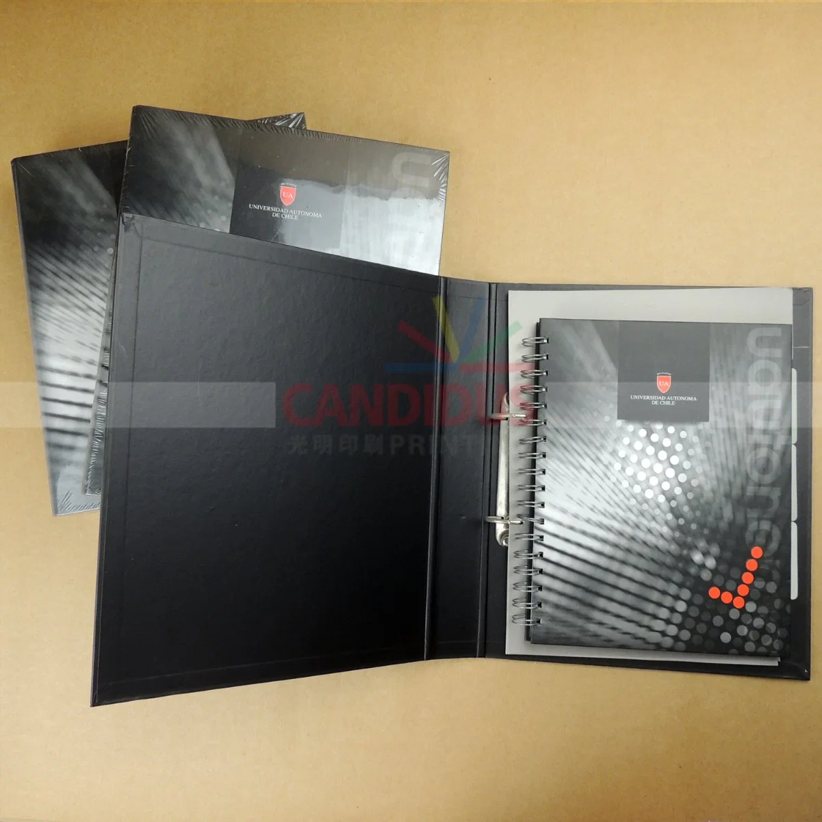 Customized Folder Notebook Set with File Folder and Notebook